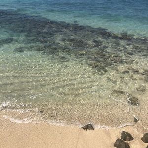 Meet your Posher, Britney